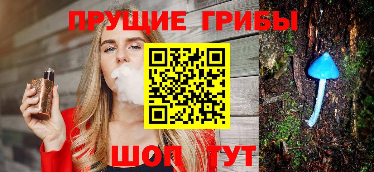 Псилоцибиновые грибы Psilocybine cubensis Екатеринбург