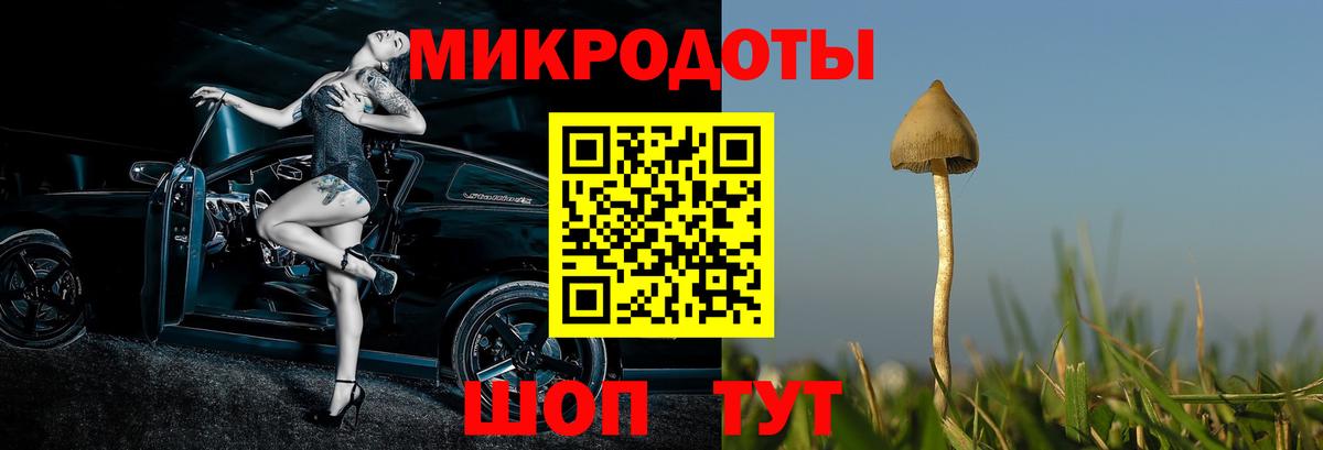 Галлюциногенные грибы GOLDEN TEACHER  Галлюциногенные грибы прущие грибы  Вход с VPN  Екатеринбург 